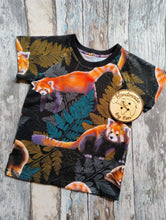 Load image into Gallery viewer, Red Panda