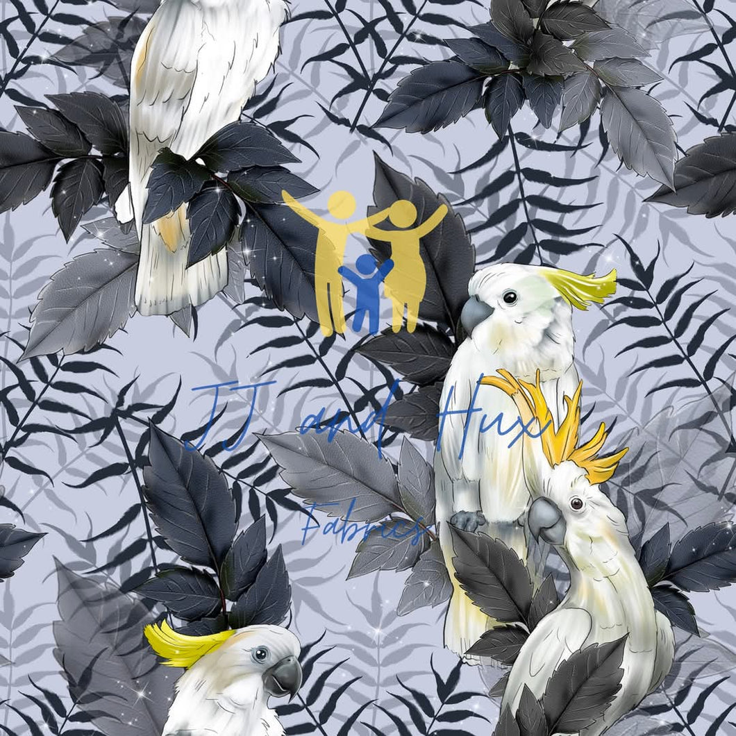 Cockies on Grey