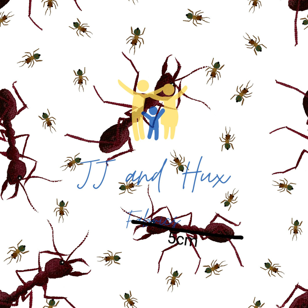 Aussie Antz