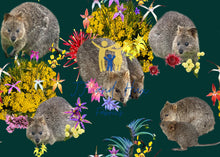 Load image into Gallery viewer, Quokka Djilba - Forest

