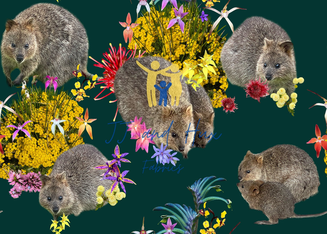 Quokka Djilba - Forest