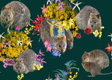 Load image into Gallery viewer, Quokka Djilba - Forest
