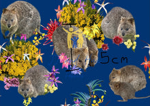 Load image into Gallery viewer, Quokka Djilba - Navy
