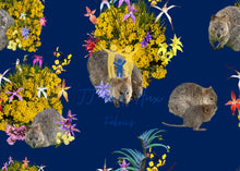 Load image into Gallery viewer, Quokka Djilba - Navy
