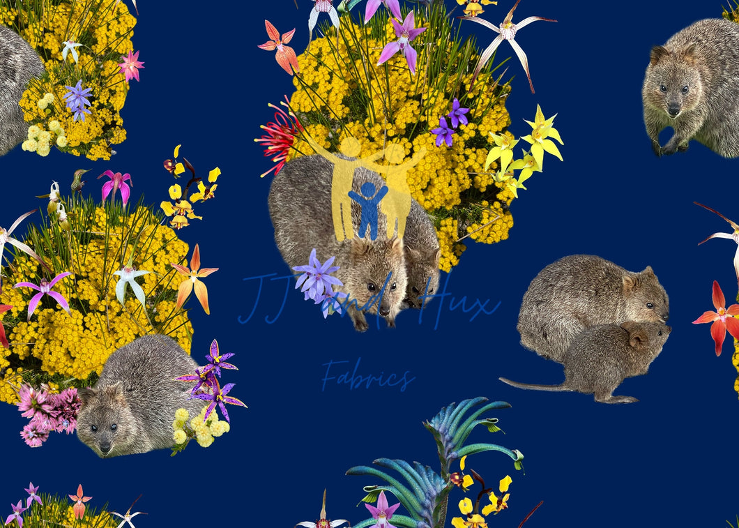 Quokka Djilba - Navy