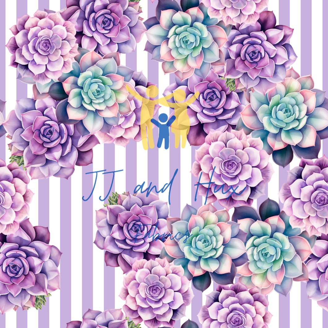 Succulents on Stripes