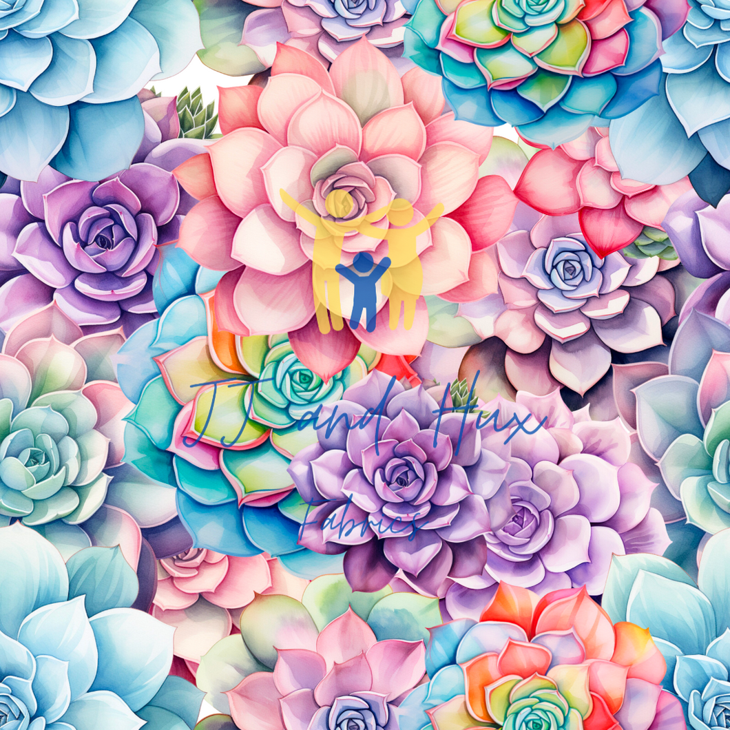 Pastel Succulants