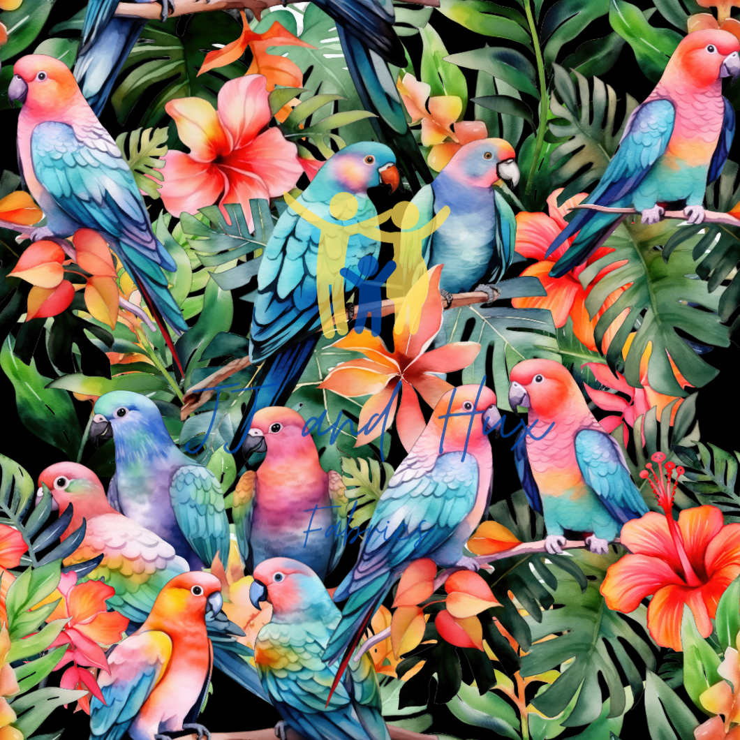 Parrots Tropical on Black