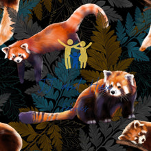 Load image into Gallery viewer, Red Panda
