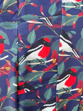 Load image into Gallery viewer, Robin and the Running Postman

